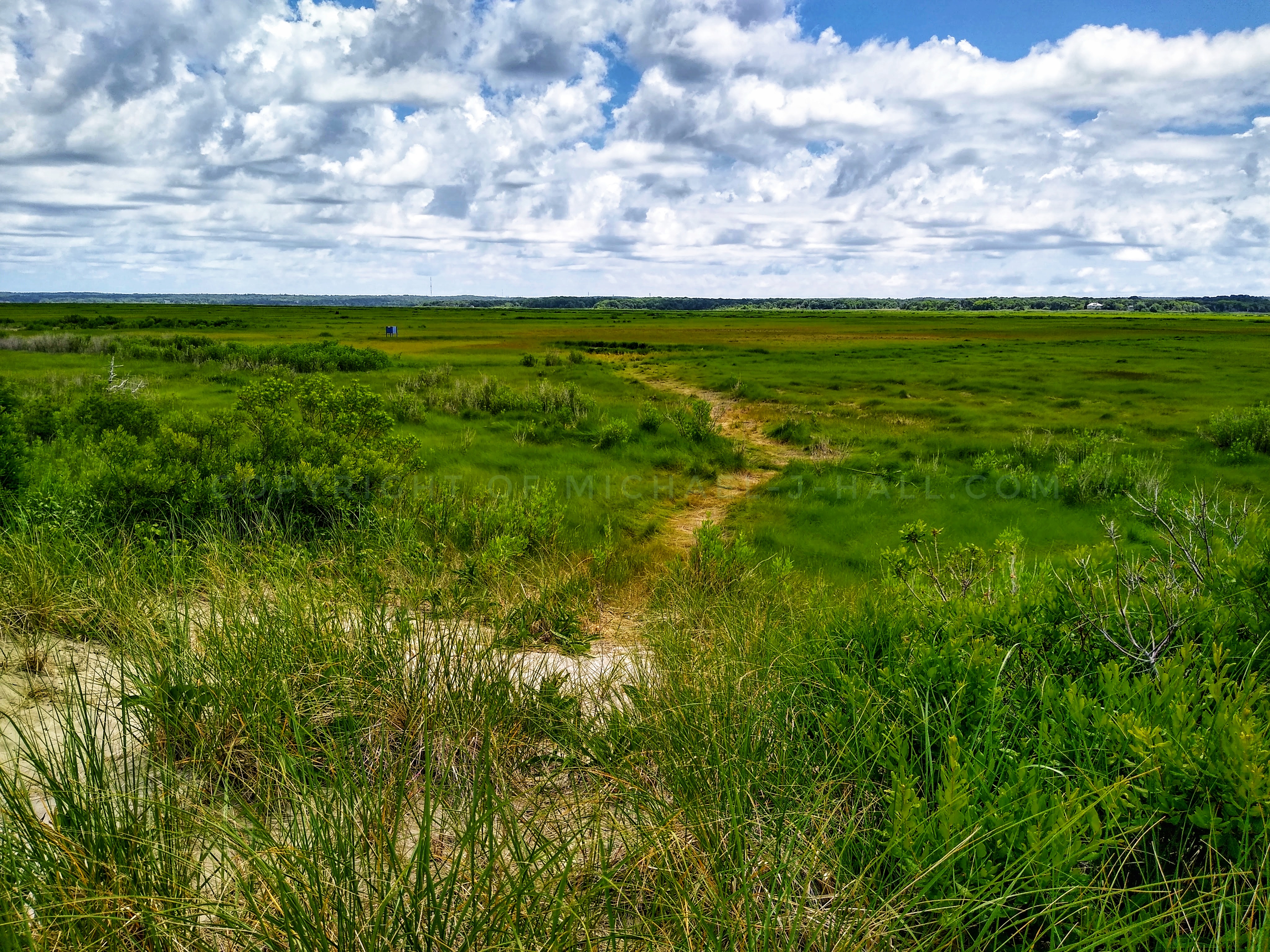 Sometimes wandering through a meandering path over soft earth, between velvety greenery, under cotton skies, and breathing salty fresh air are all that one needs to revitalize their life...