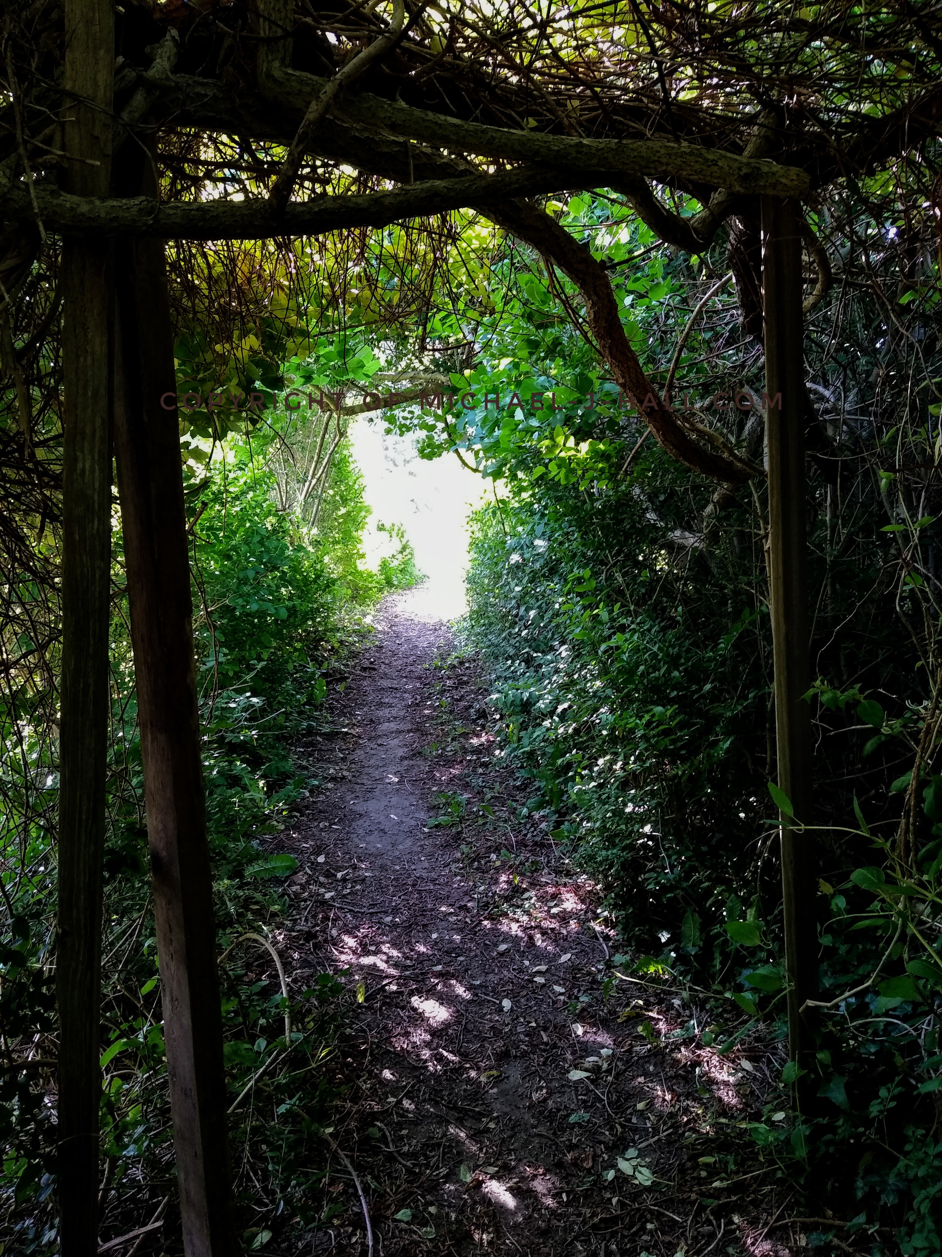 With one more step and a slight duck of the head under the low arch through a makeshift gateway, the enticing aroma of honeysuckle lures this wanderer further along the path into worlds not yet known; but, oh, what adventure awaits ahead!