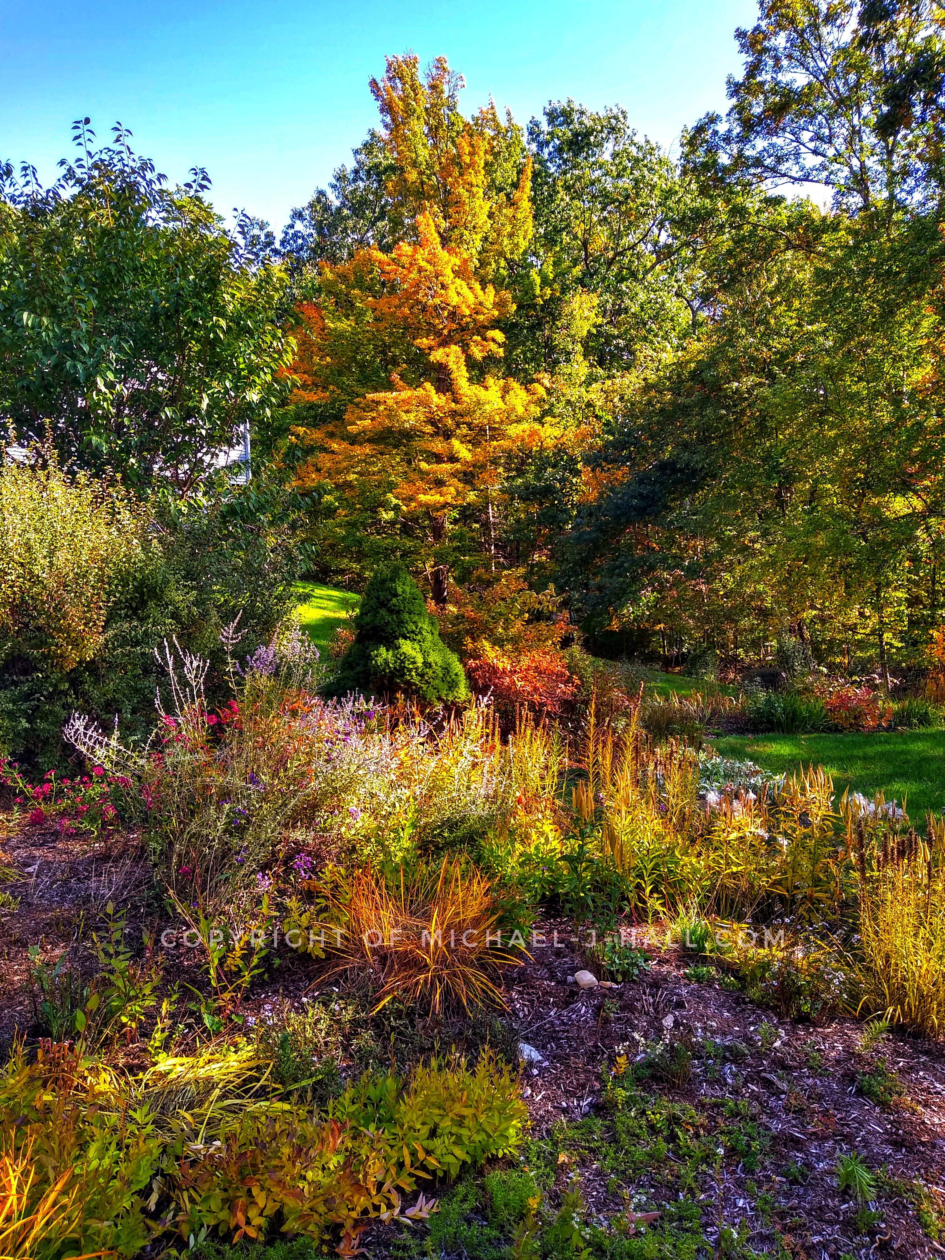 Psychedelic colors and textures abound, overwhelming visual senses, nearly to the point of needing a warning message because of the affects it may have upon the viewer. 