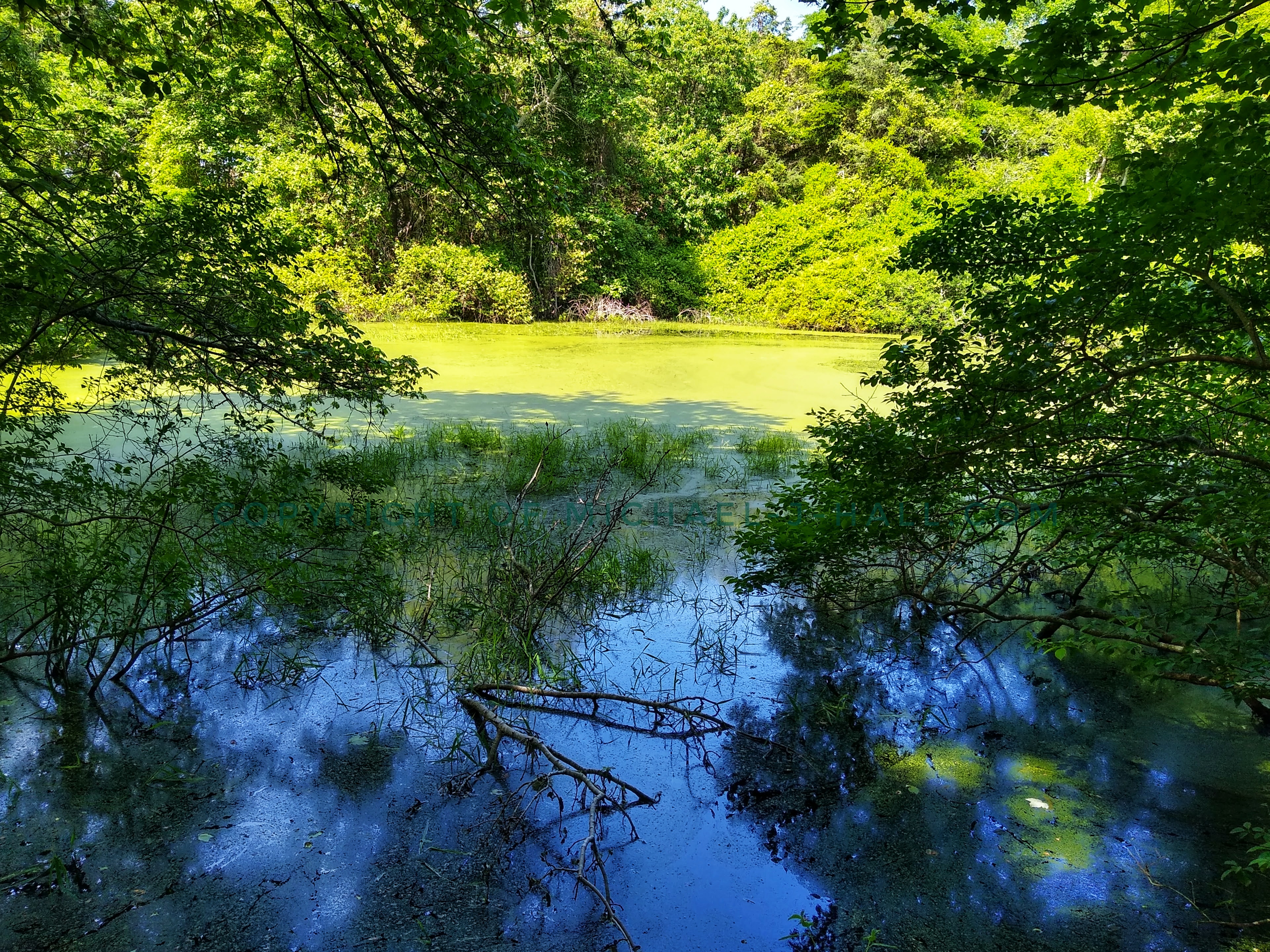 The poem represents a "watering hole" dive bar called the Otter Pond and the mirror behind the bar that transports the drinker to a more natural and pleasant world as an escape from his current surroundings.