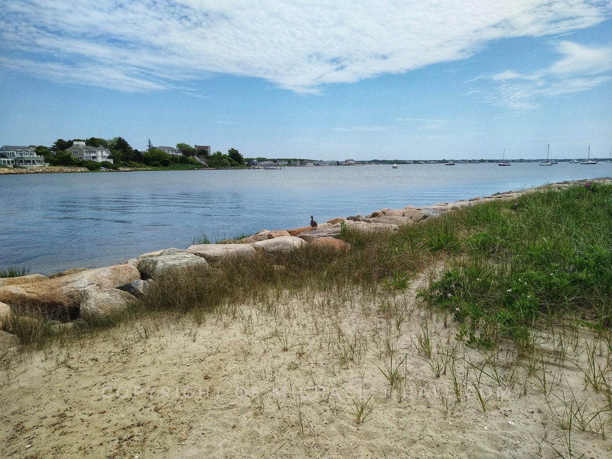 A Quiet Moment by the Water: Bernie’s Favorite&nbsp;Rock