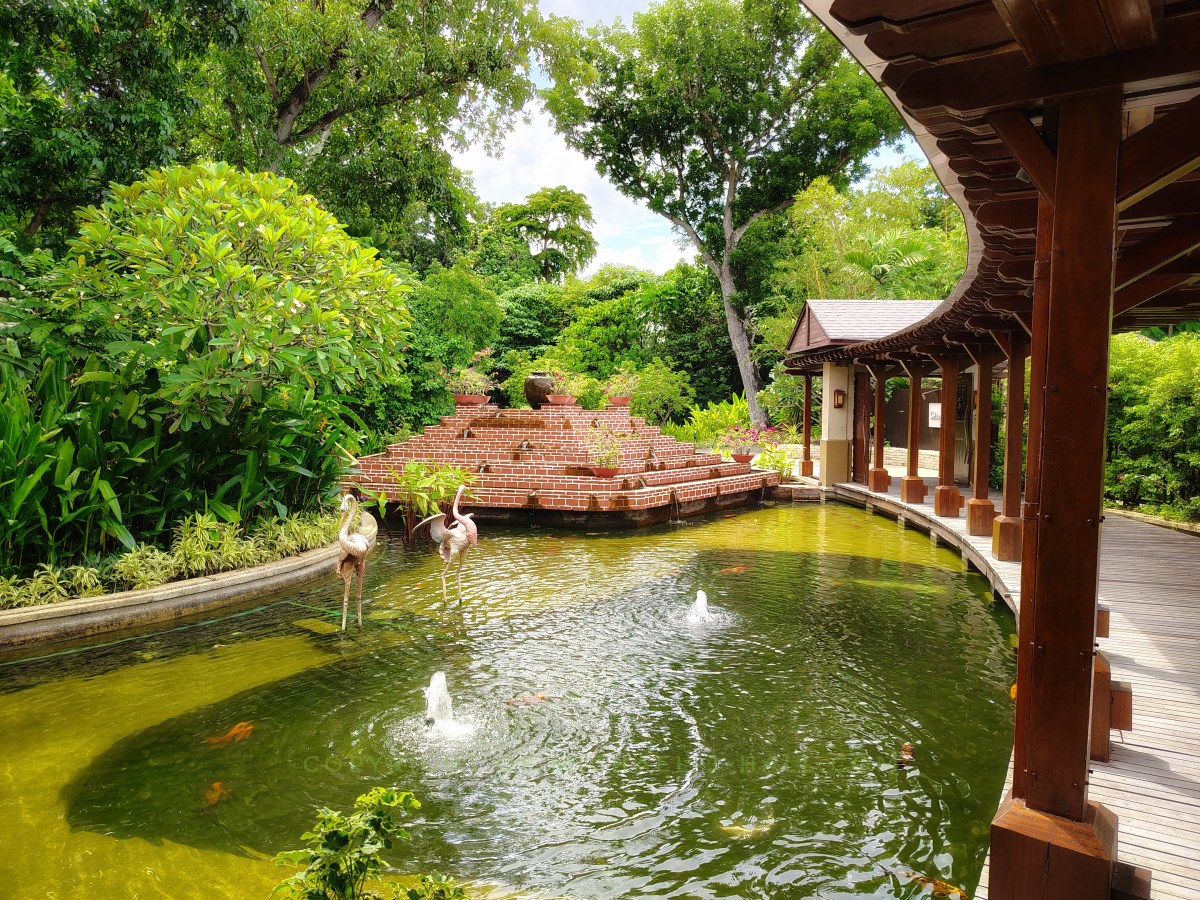 Koi Pond
